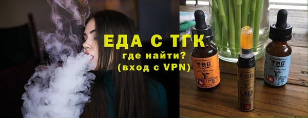 дживик Бородино
