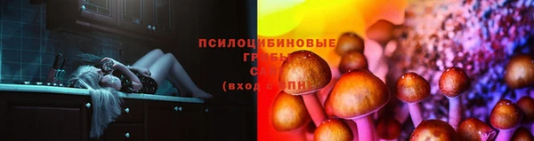 прущие крисы Покров