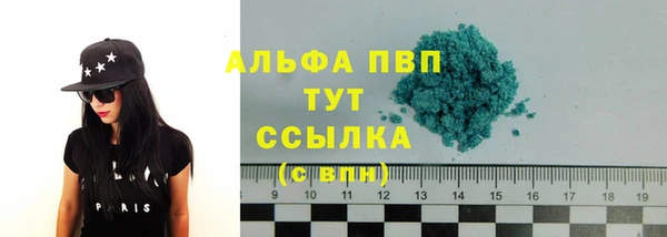стаф Богородск